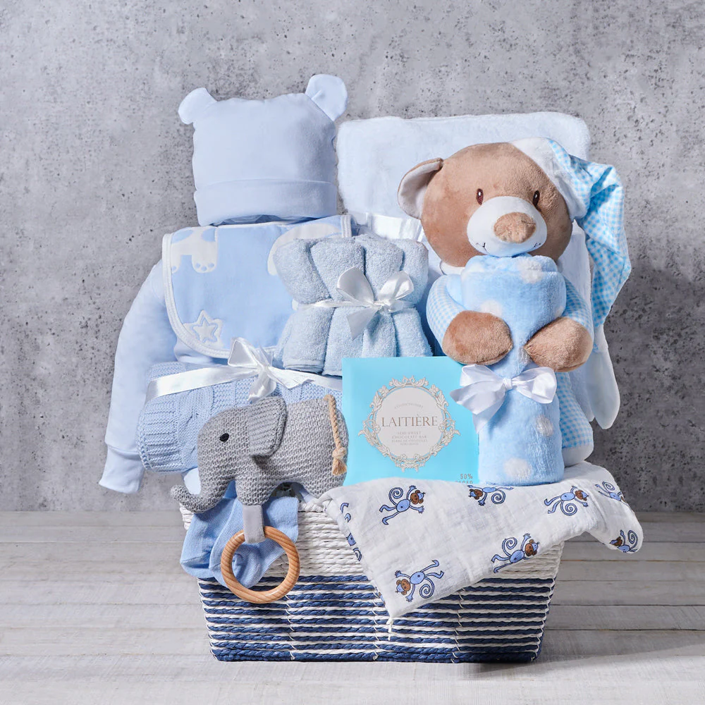 Soft & Snuggly Baby Boy Gift Basket