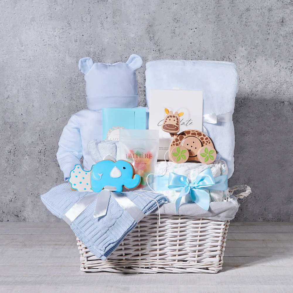 The New Baby Boy Celebration Gift Set